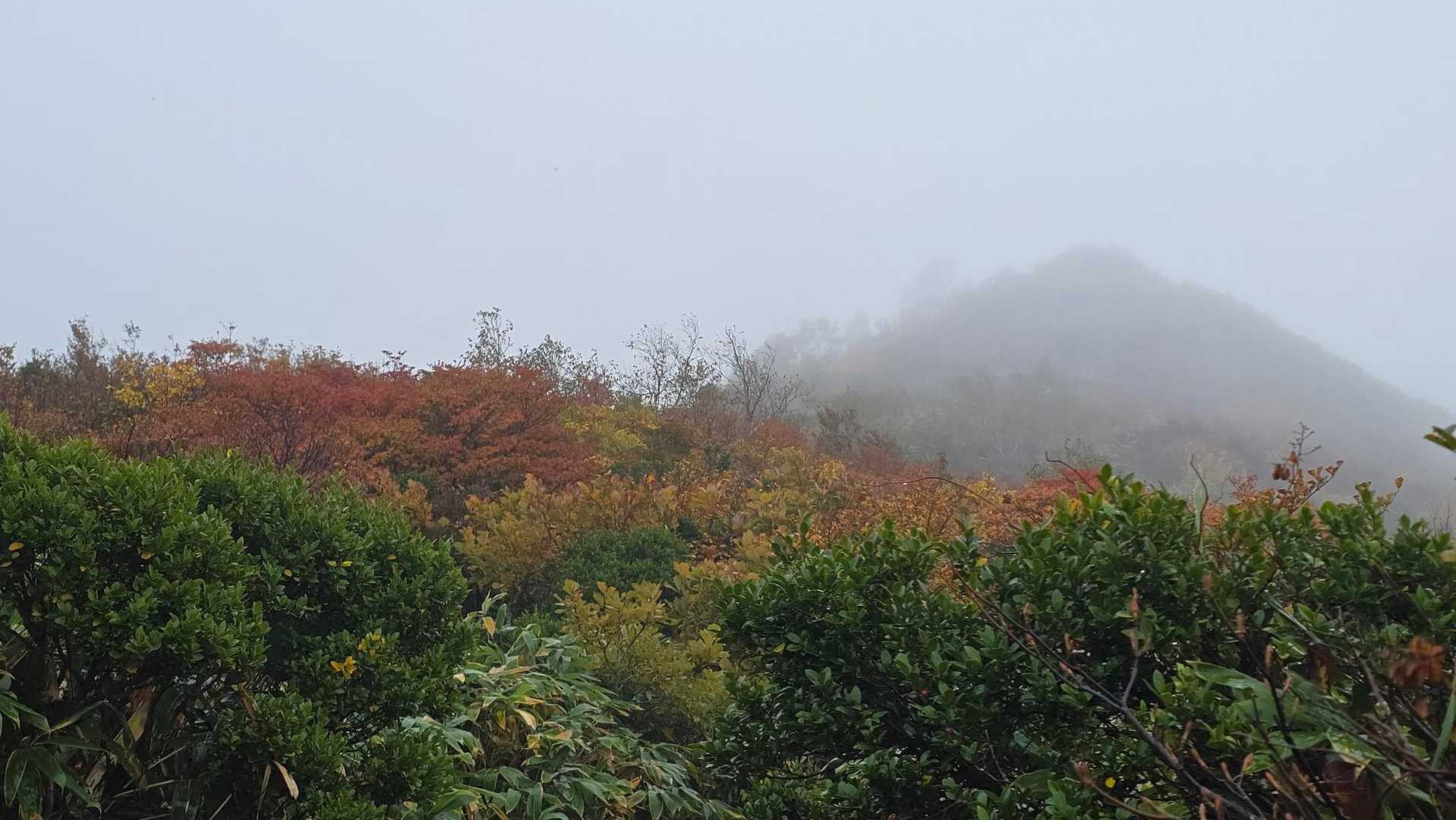 平標登山口-松手山-平標山 往復コースの写真