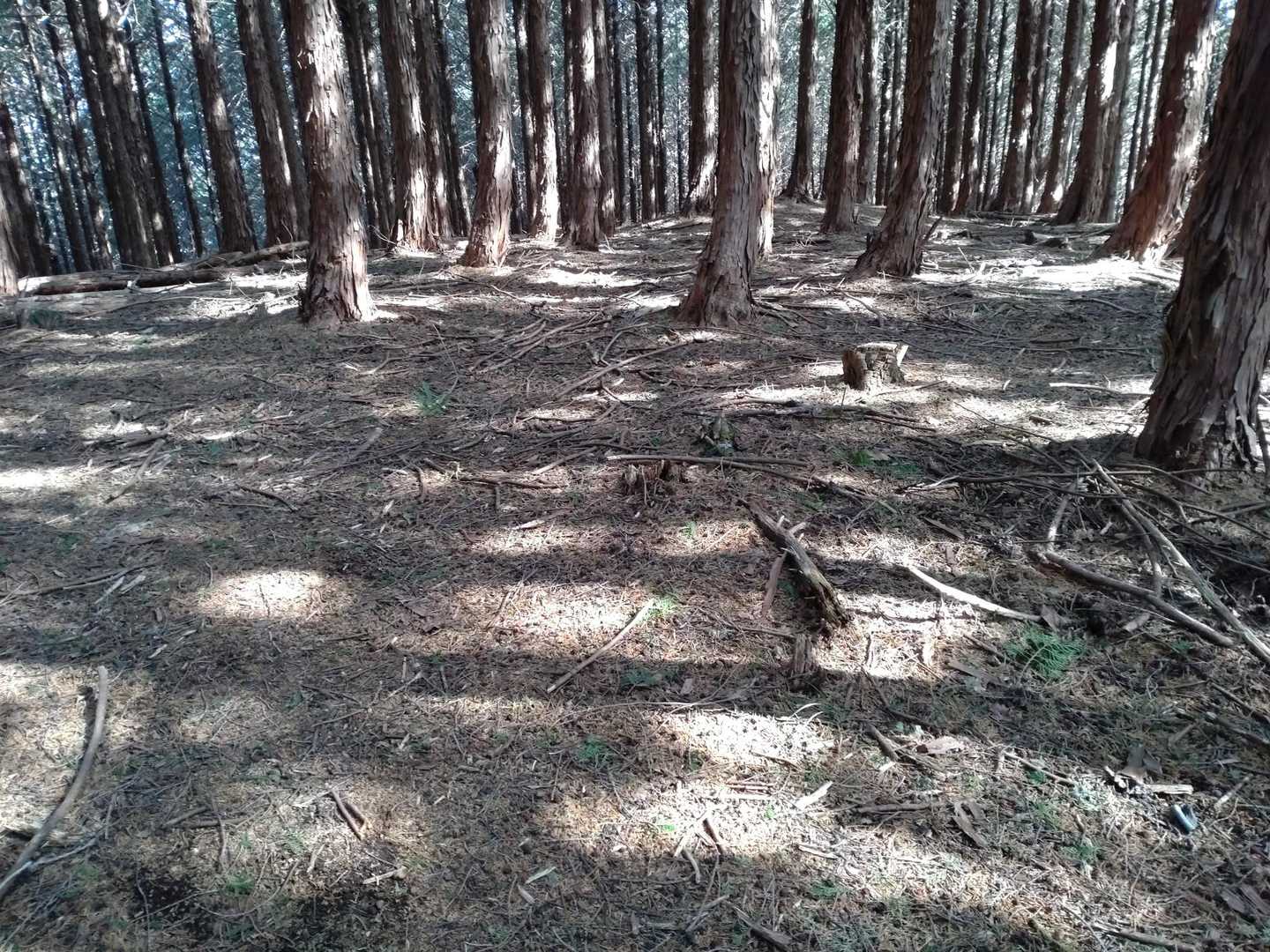 宮地山本当の山頂
