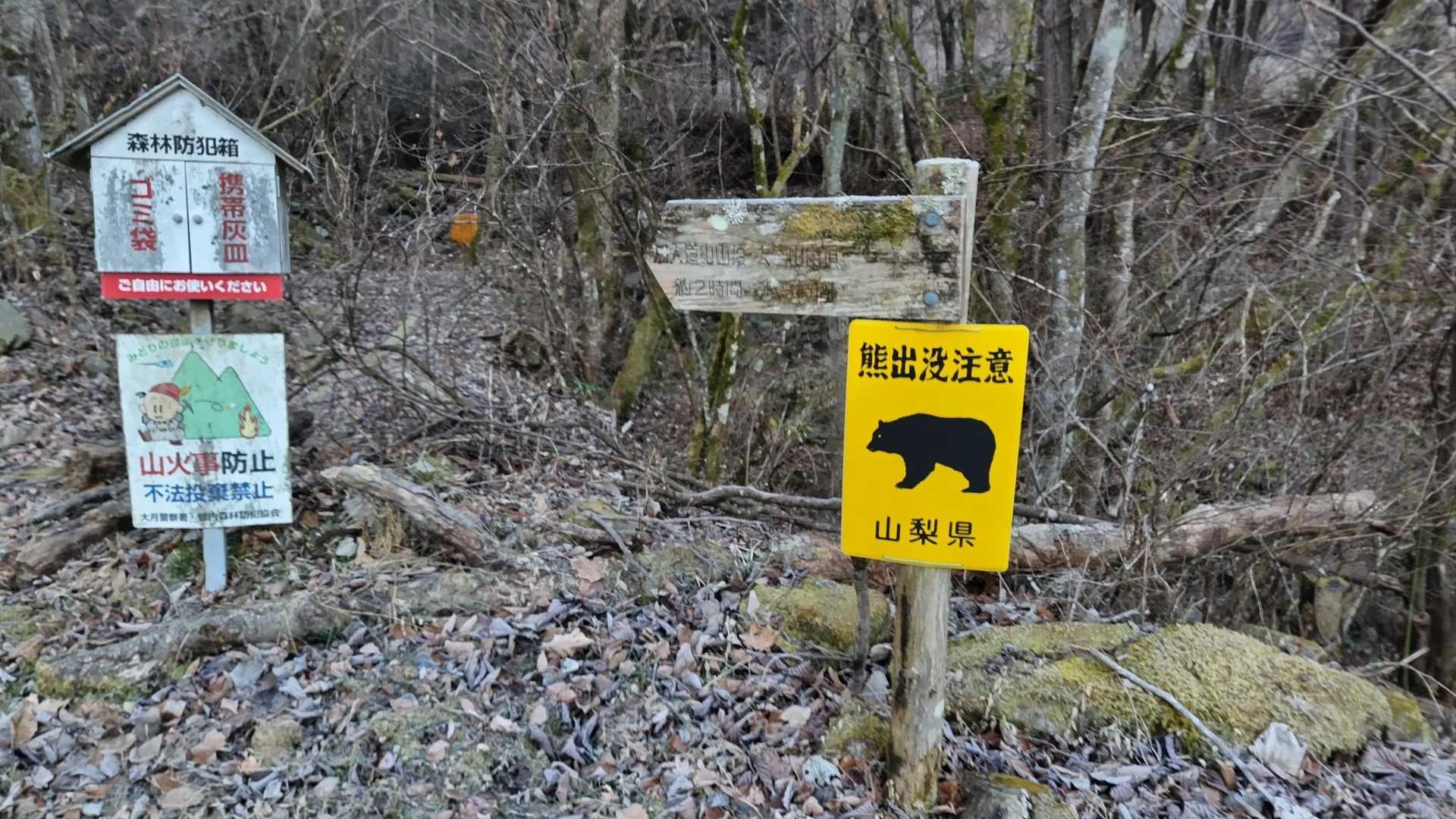 加入道山 往復コースの写真