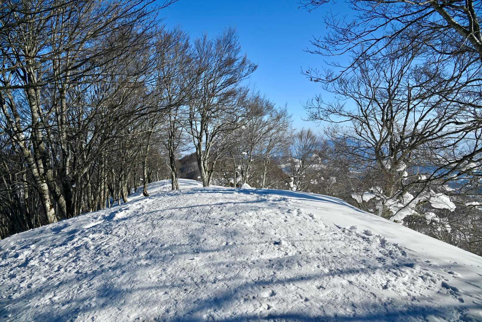 斑尾山の山頂に到着でーす

標高1.381m  日本三百名山＆信州百名山

「え？ここがピークなんすか？」　困惑のオッさん

北信五岳の中では標高が最も低い山の斑尾山

なんと眺望が全く無いんですよ

山標も無かったしちょいとガッカリなピークっした