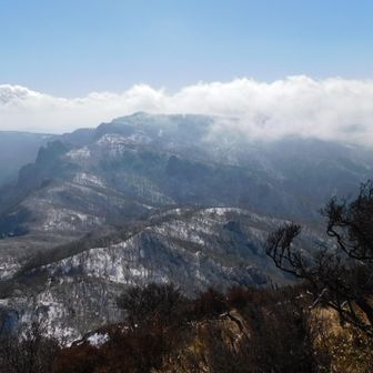 障子岳への稜線ᨒ𖡼.𖤣𖥧＊

相変わらず 障子岳はガスmagic
履けてくよ𓂃⟡.·