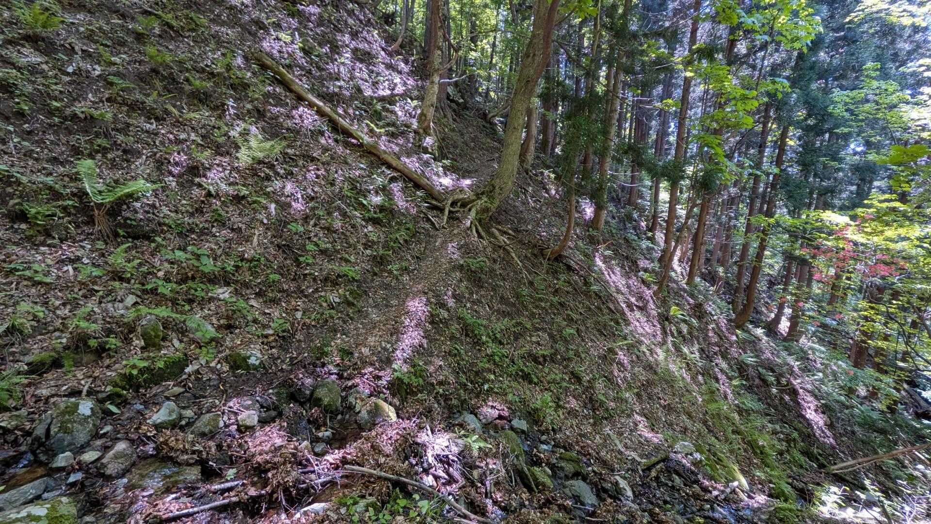 小川を渡ったり登ったり下ったり