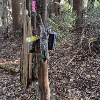 なんか苦労して取り付けられているようですね。