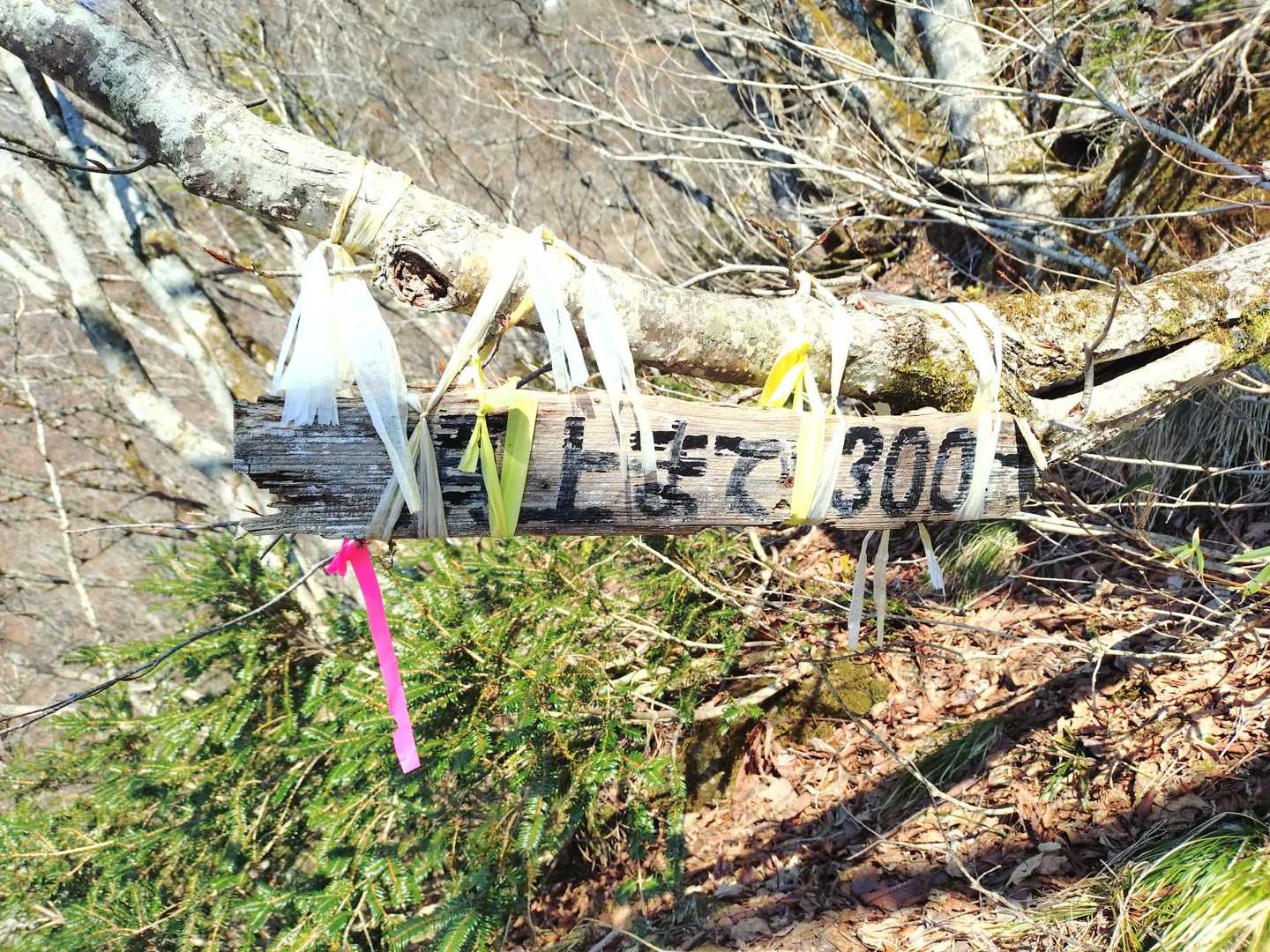頂上まであと300m✨️

頑張ります(*^_^*)✌️