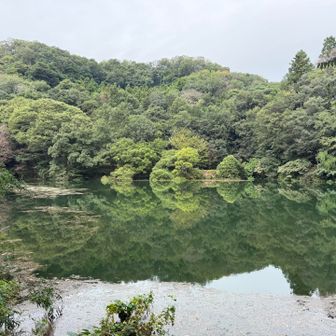 谷津池着人影無しでした〜車はいっぱい🚙