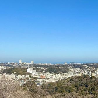展望台からの景色