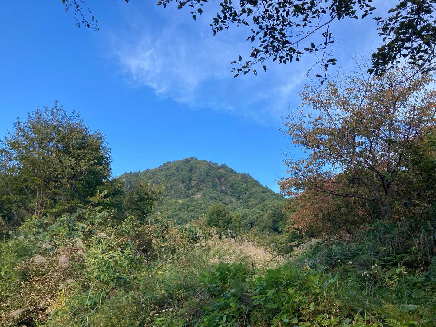 唐倉山。いいお山🙏🏻✨