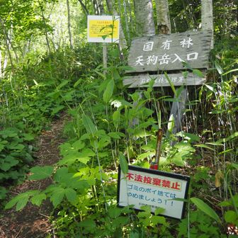 元の登山口