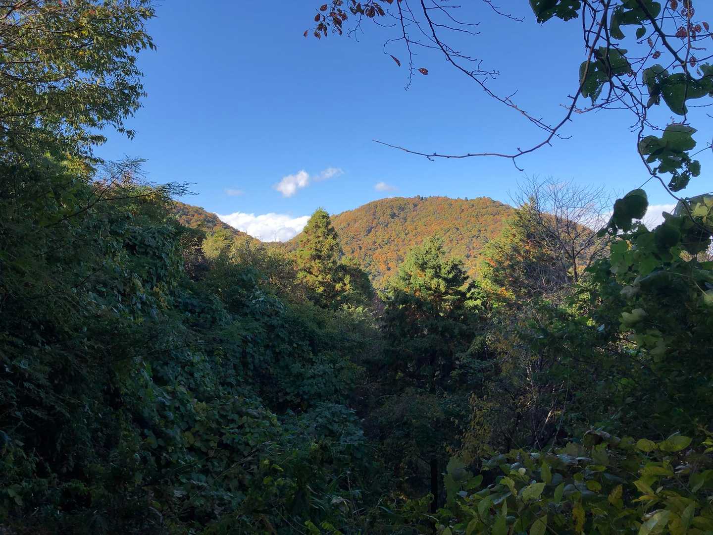 原岳からの二上山⛰️