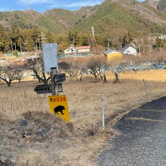 この辺は熊出没地区🐻