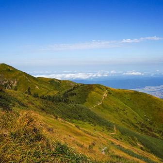 割引岳、お前が頼りだ