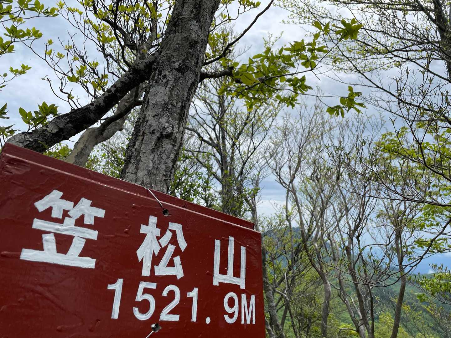 ここで傾山まで歩くことを決めました