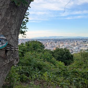増毛方面