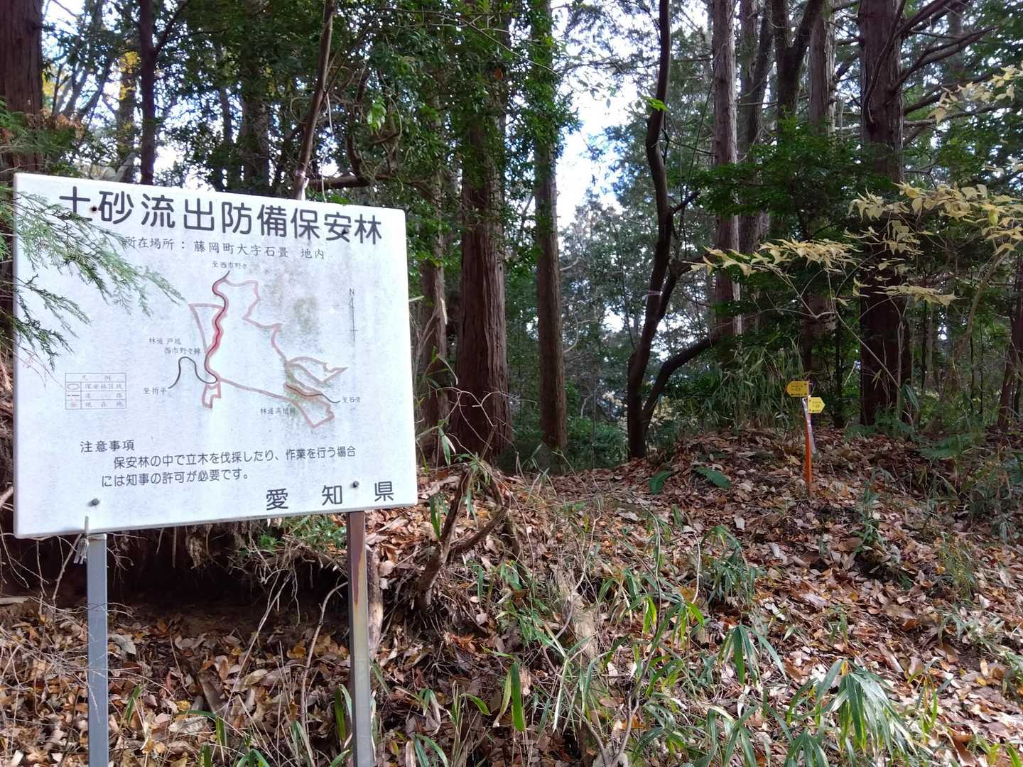 みんなの軌跡機能を頼りに近道ルートで下山