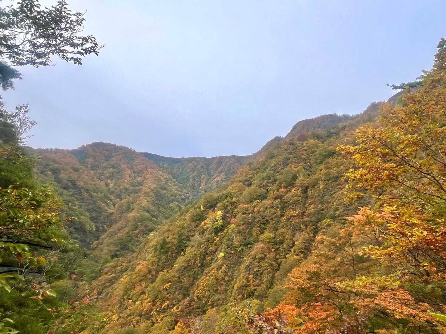 怖くて楽しい紅葉🍁の倉沢ルートです
