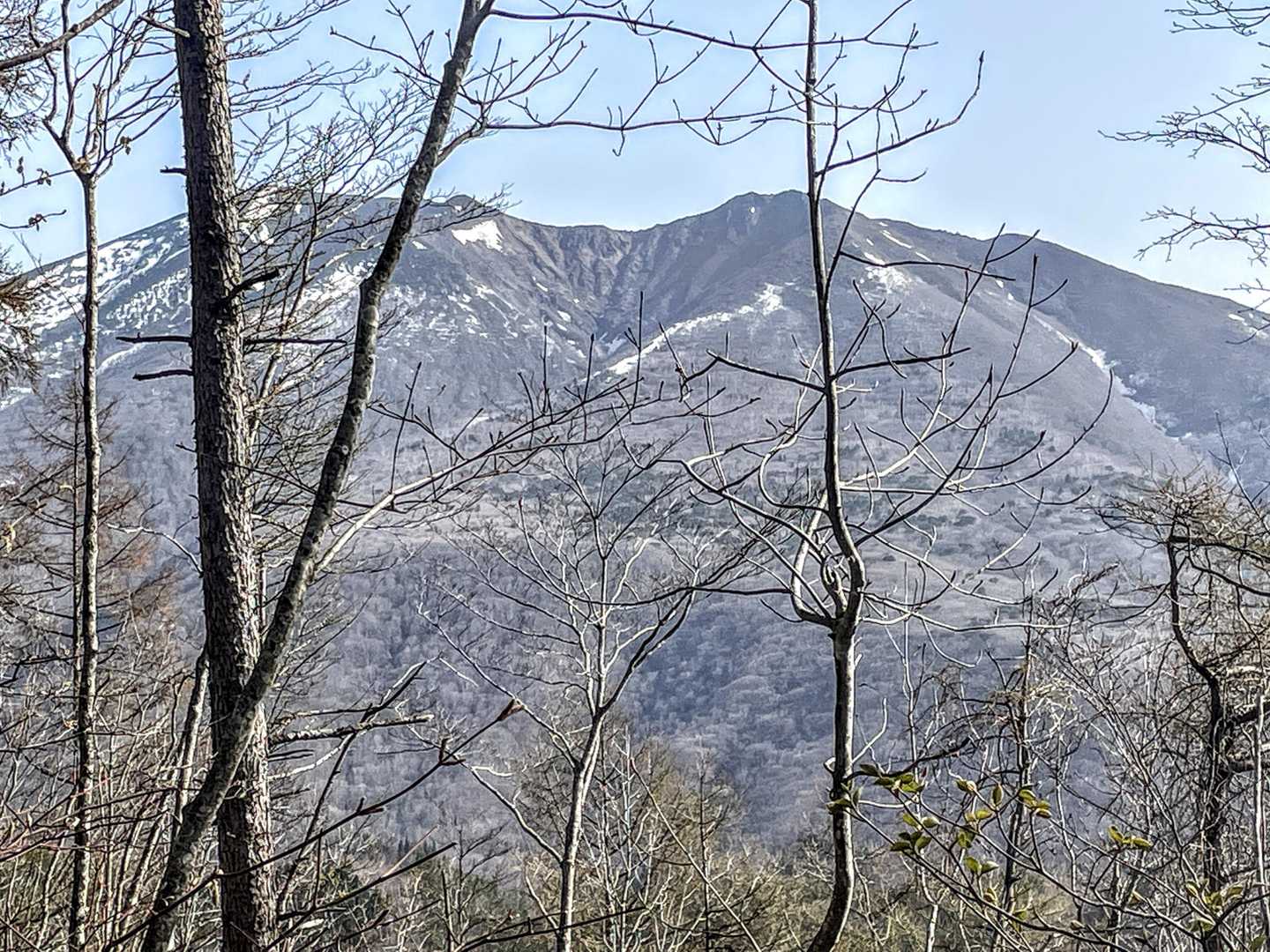 蛤山 往復コースの写真