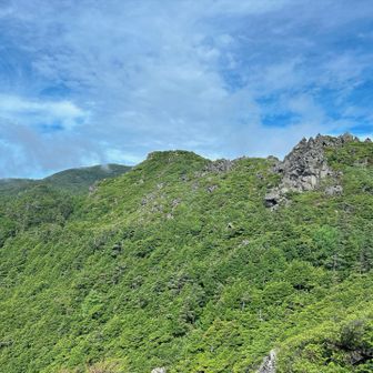 三ツ岳Ⅰ峰から北横岳方面を望む