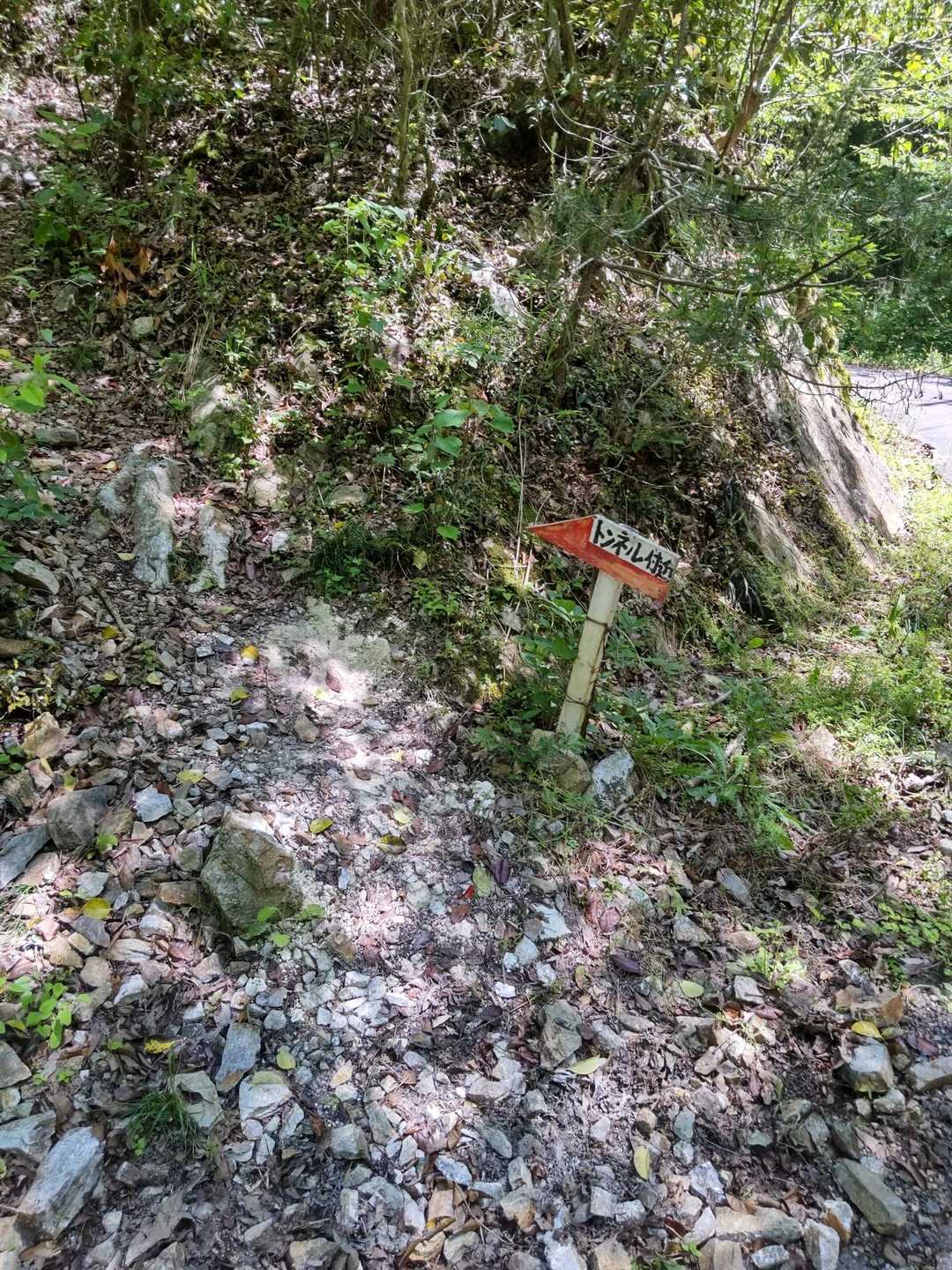 ココからは舗道