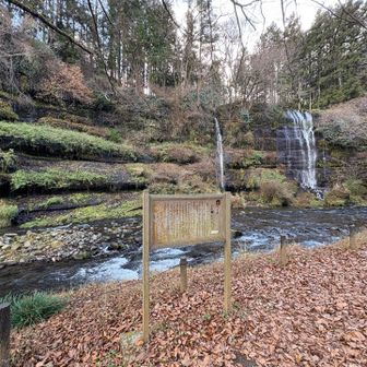 せっかくなので太郎次郎滝にも行ってみました