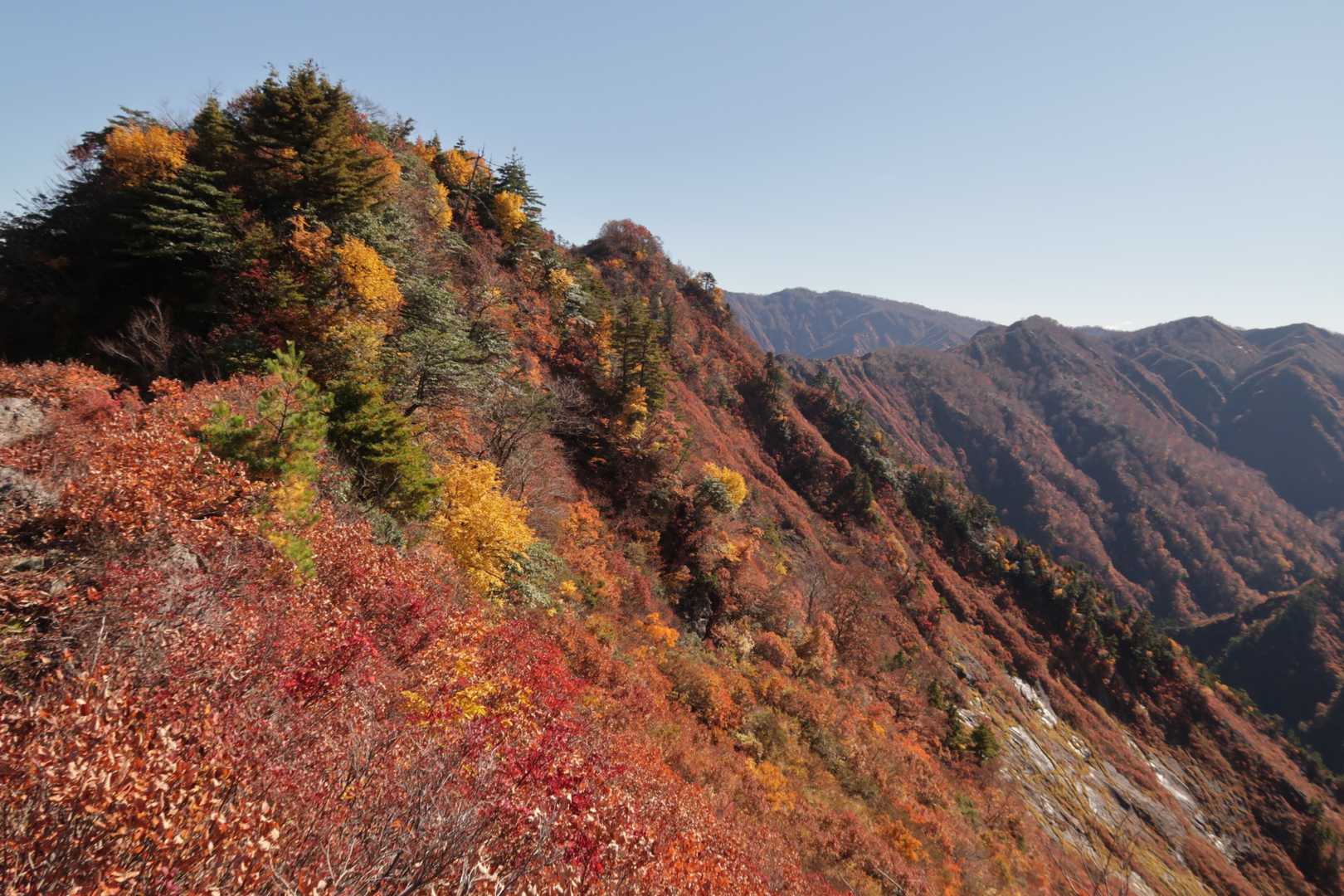 雪で削られた斜面が陽に照らされて光る✨
光明山の名前の由来