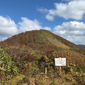 駒木立には時間管理上登りません
以前からそう感じていましたが「土塁部分が狭い」との注意喚起あり