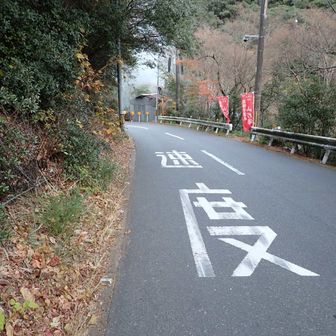 2か月前に自転車でこけたとこです