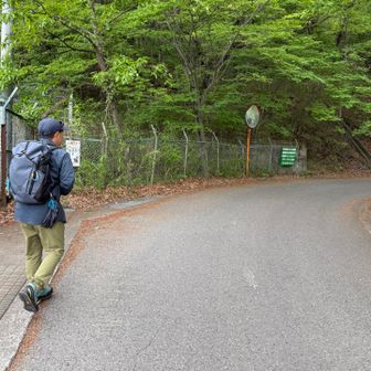 トイレの横から登ります⛰️