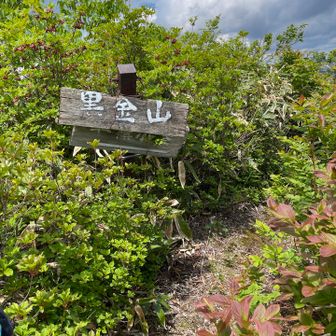 証拠写真　大源太山までの登り返しがキツイ