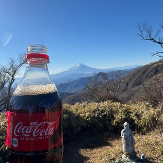 丹沢山山頂でコーラ