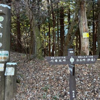 お馴染みの大野峠。
ここから先は、何度も歩いて知っている道。