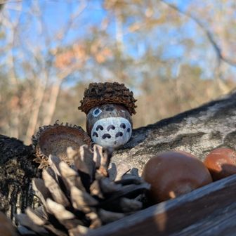 小さいトトロも🥰