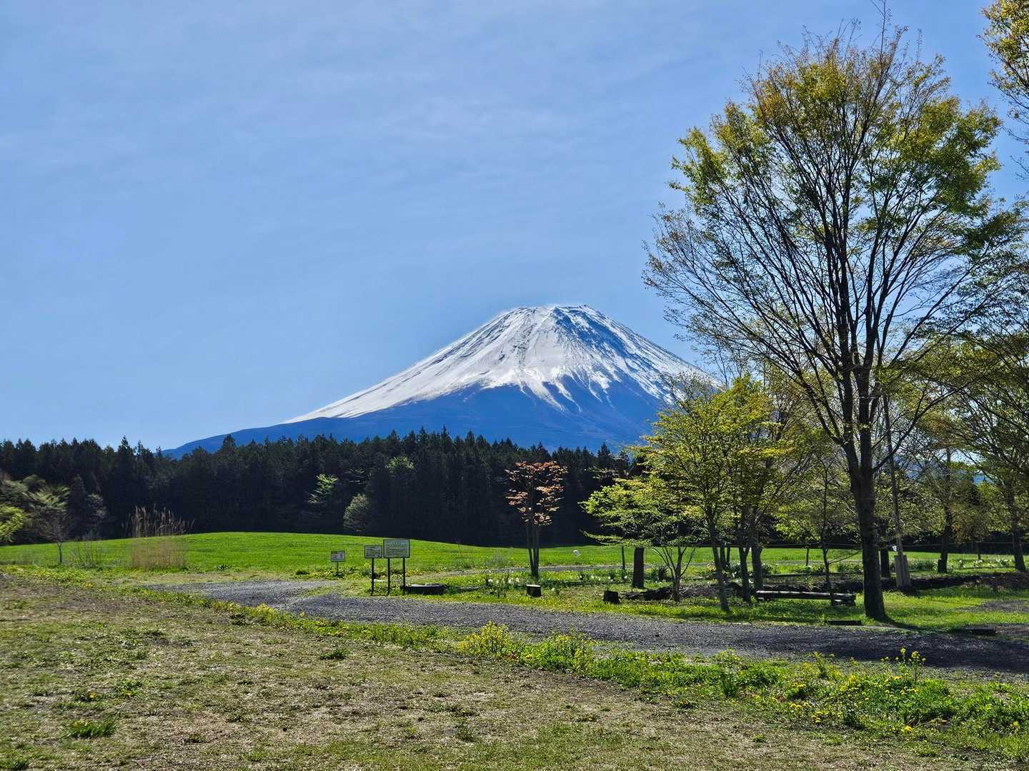 久しぶりの富士山🗻✨
ステキです(๑^᎑^๑)♡