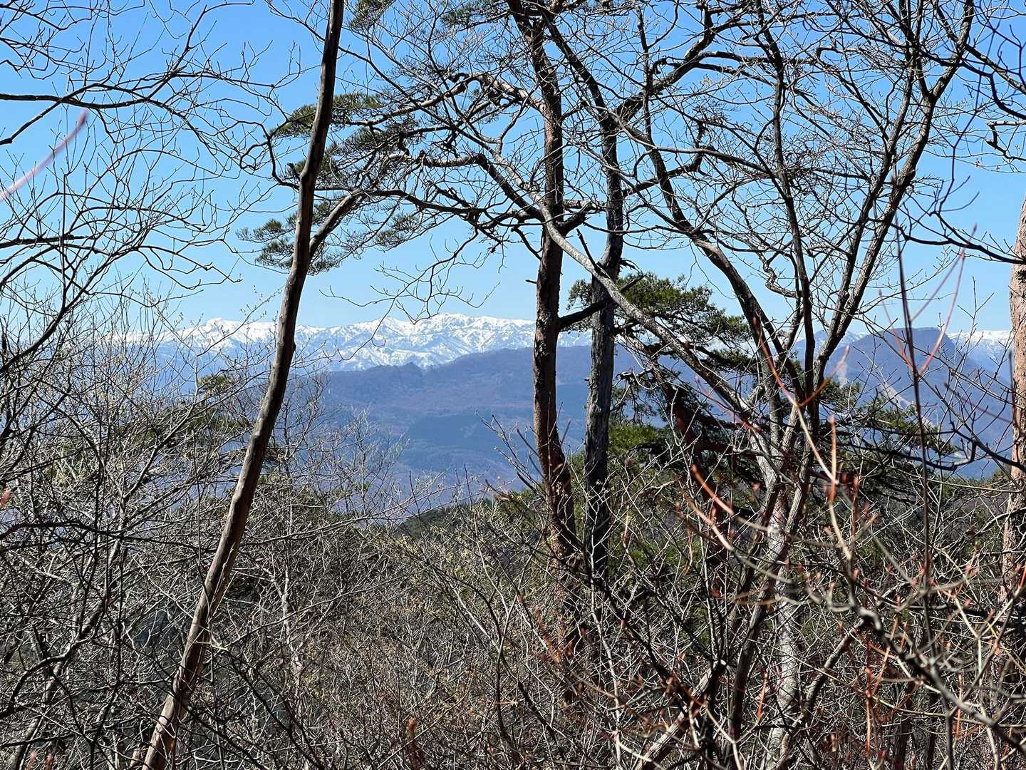 帰り道、右手には白砂山かな？
樹々が邪魔してますが😆