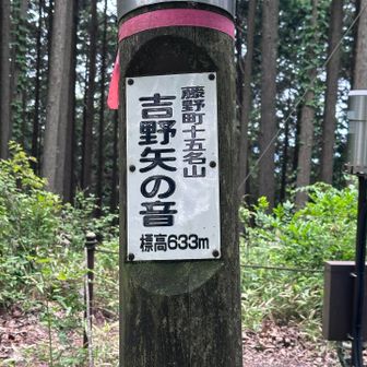 相模湖に下る途中の小ピーク
