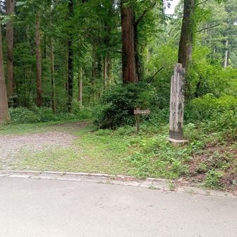 坂を下り終えると、舗装されていない林道歩き、そこを過ぎると舗装路歩きです。