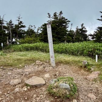 山頂は新潟県