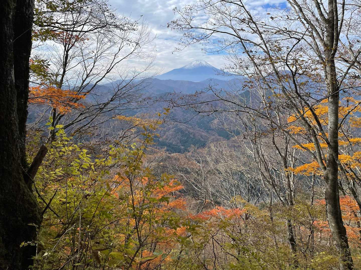富士山の後ろが白くなりました