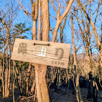 鼻曲り、少し風が強い🍃