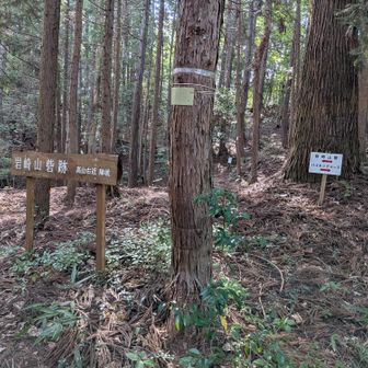 岩崎山砦跡