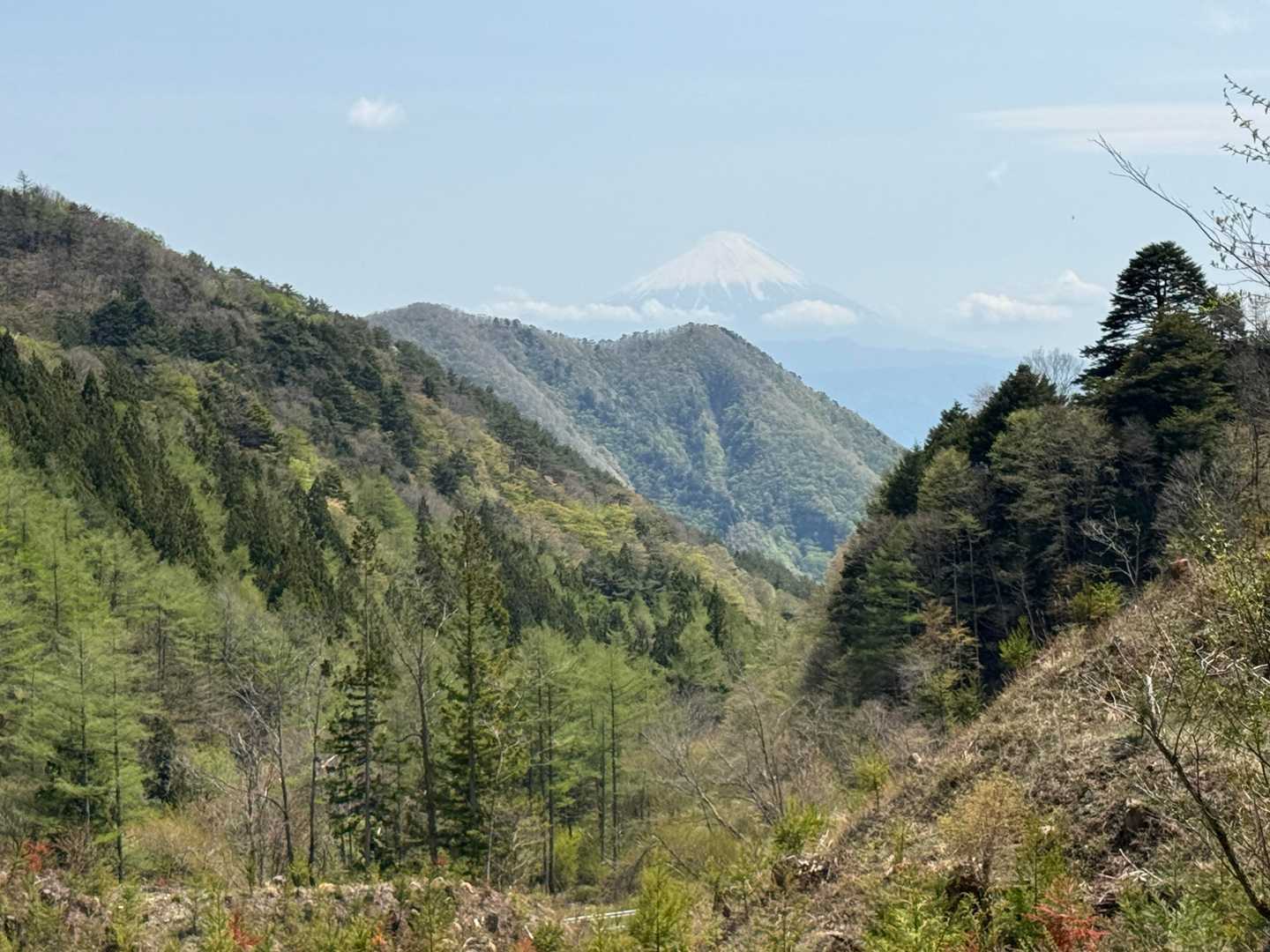林道から太刀岡山と富士山