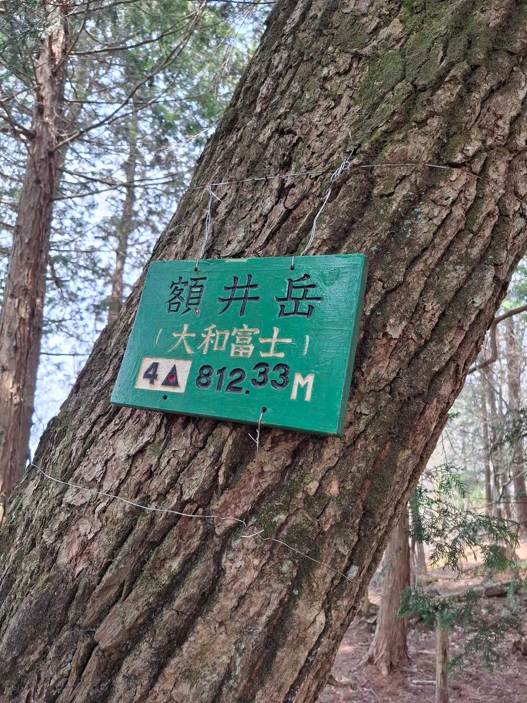 別名、大和富士🗻
景色は無し😢