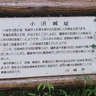 今日はここをメインとする‼️
笑
登山開始から１時間経過。
