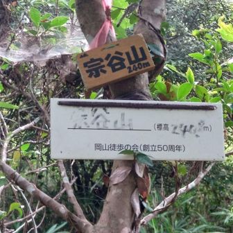 宗谷山に登頂 ＼(^o^)／
眺望は木立に囲まれて残念ながら😑

道中に蛇🐍！、逃げたけどコチラもトップスピードでその場を立ち去りました。ニョロニョロは苦手😖。
この後はロープ、ホース、木の枝、長くて細い物は蛇🐍に見えてしまいゾワゾワ😖