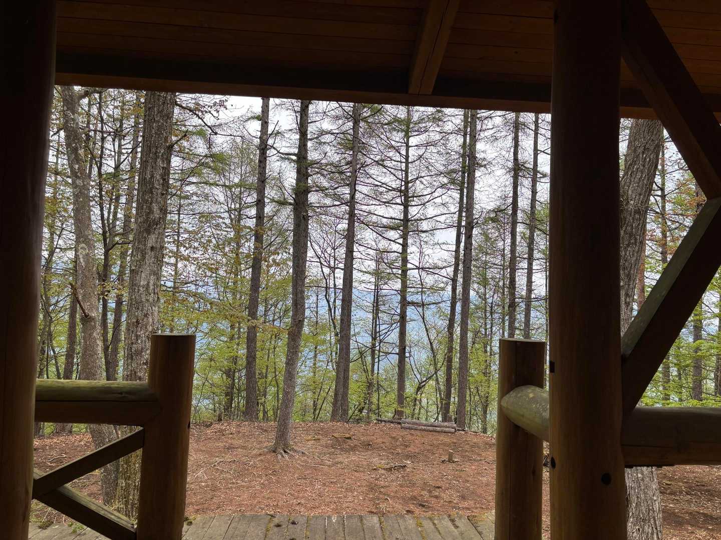 ☕️いただきながら
🐦‍⬛の囀りに耳を傾け癒される🥰

ヤマガラ、シジュウカラ、コガラetc
初めてオオルリを目撃して感動✨🥹