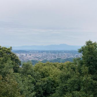 展望台から北側⁇の眺め