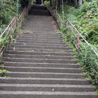 階段が結構長い。