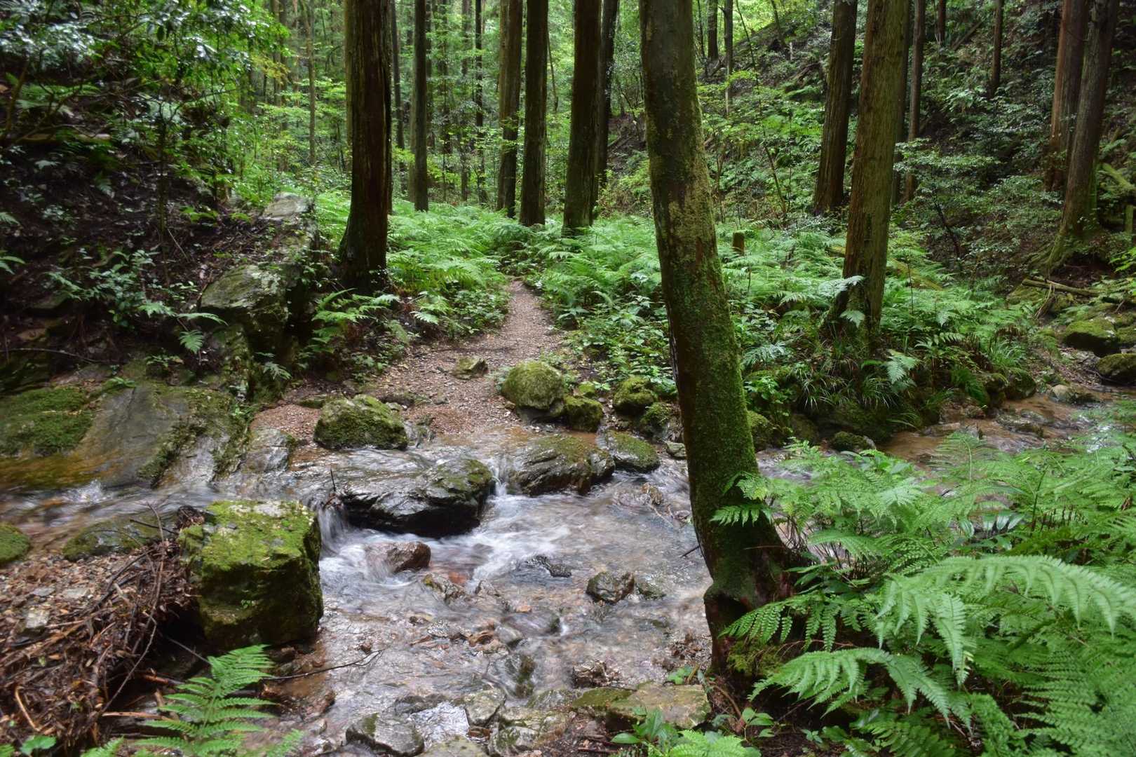 物見山-小瀬名富士 周回コースの写真