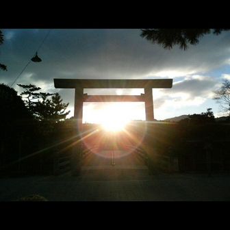 ドラゴントレック