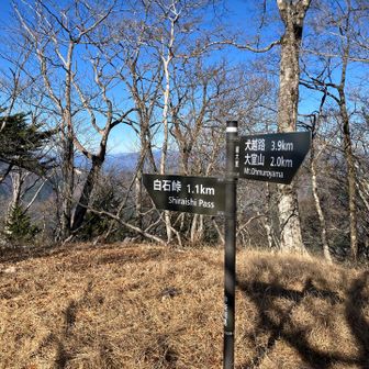 前大室まで来た。ここまで来ると凍結箇所は無くなった。