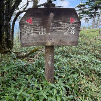 二ノ森
